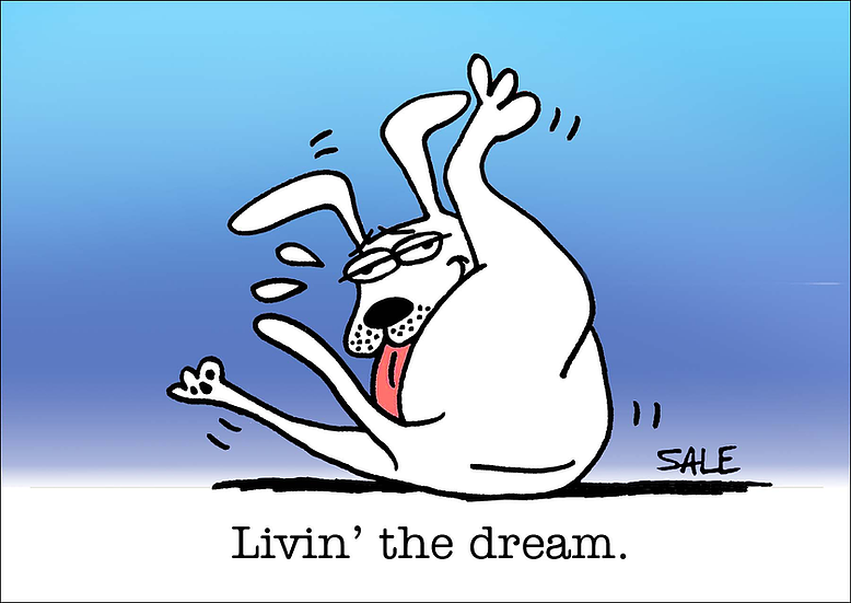 Living The Dream Dog Cartoon