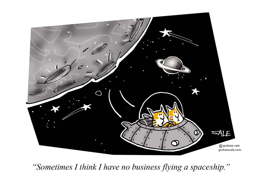 cats i have no business flying a spaceship