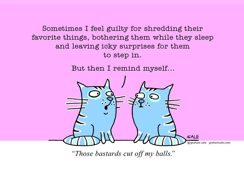 cats sometimes I feel guilty for shredding their favorite things bothering them while they sleep and leaving them gastric surprises for them to step in but then I remind myself those bastards cut off my balls