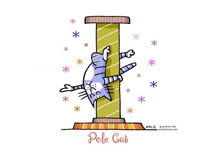 pole cat