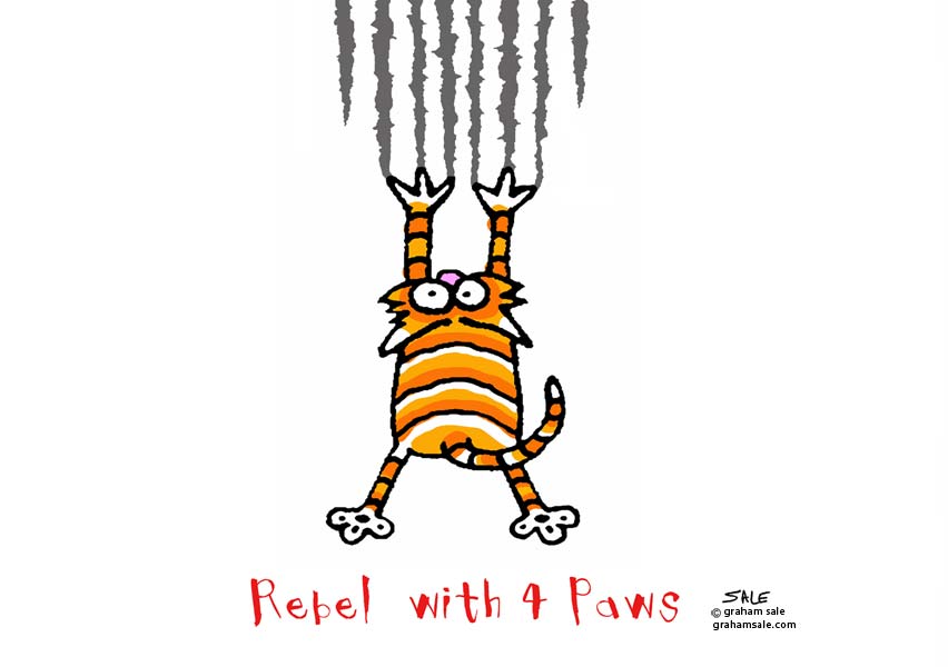 rebel with 4 paws