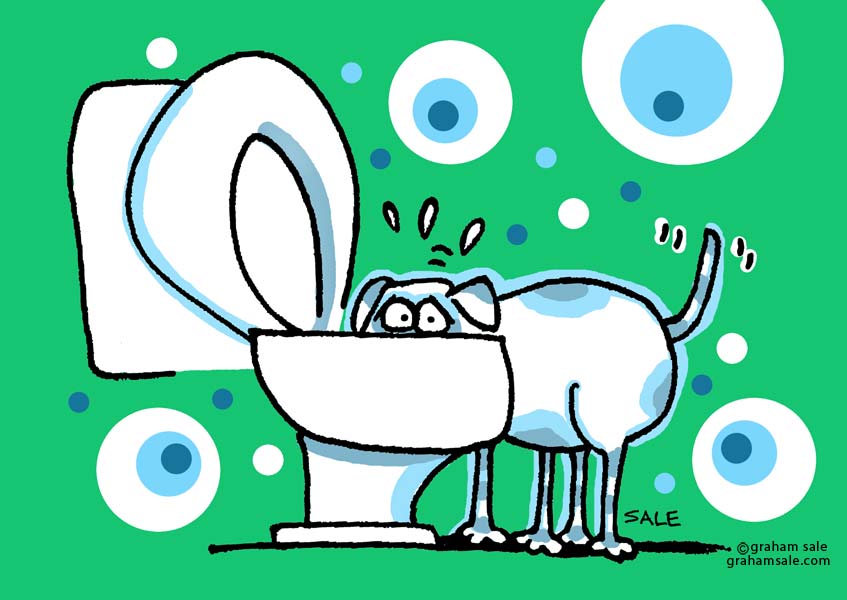 drinking from toilet dog